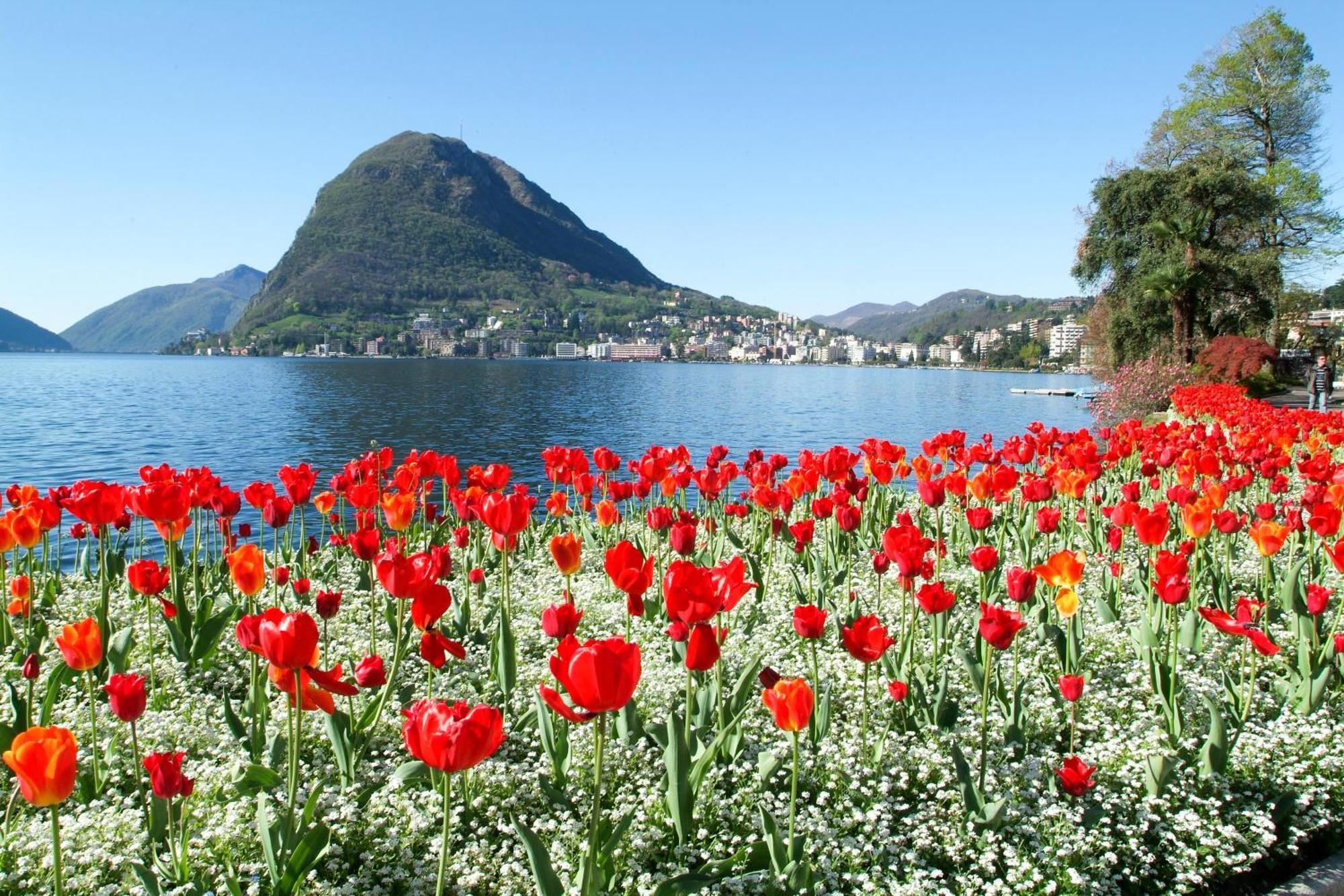 Little Lugano - Happy Rentals Экстерьер фото